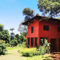 Negocio Nativa Iguazú