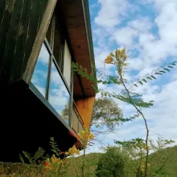 Negocio Nido Arriba Cabañas