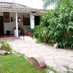 Negocio Nuevo Hotel Italiano