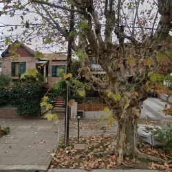 Paca Bed And Breakfast