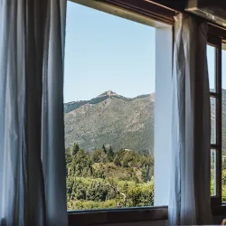 Negocio Pájaro Azul