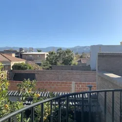 Negocio Palacios 1190