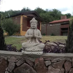 Negocio Palmares Al Cerro