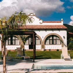 Negocio Palmares Housing