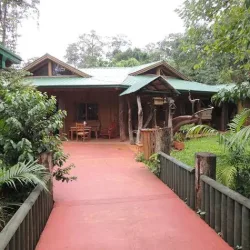 Negocio Palo Rosa Lodge