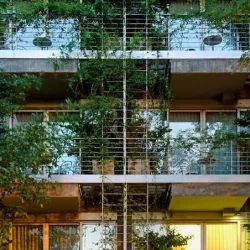 Negocio Palo Santo Hotel