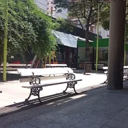 Negocio Peatonal Apart