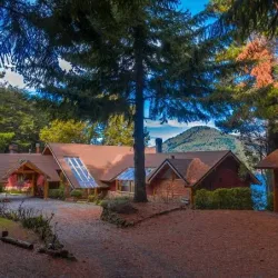 Negocio Península Petit Hotel