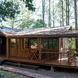 Negocio Piel De Timbó