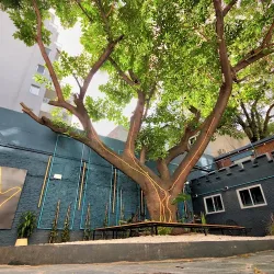 Negocio Play Hostel Garden