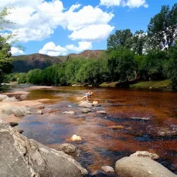 Negocio Playa De Oro