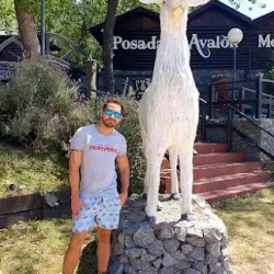 Negocio Posada Ávalon