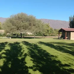 Negocio Posada Bodega Apotema