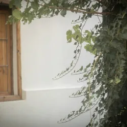 Negocio Posada El Alcornoque