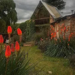 Negocio Posada Inti Watana