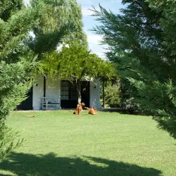 Negocio Posada Itaca