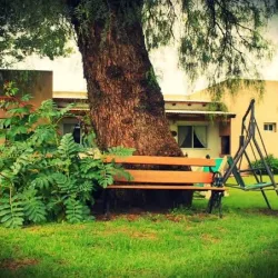 Negocio Posada La Querencia