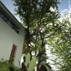 Posada Paloma - Suite & Guest House