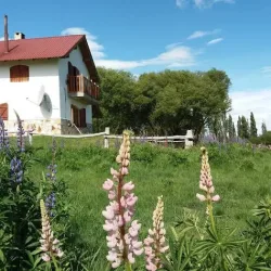 Negocio Posada Tajaluz