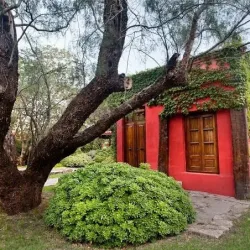 Negocio Posta Del Norte