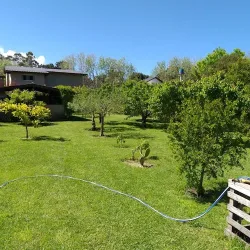 Negocio Pueblo Shardana