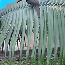 Negocio Quinta Don Adolfo