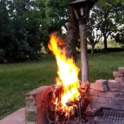 Negocio Quinta "Los Mateos"