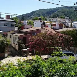 Negocio Quirus Dormis