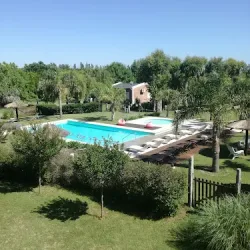 Negocio Raíces Chozas Urbanas