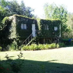 Negocio Recreo Abra Vieja