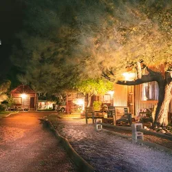 Negocio Rincón De Cacheuta