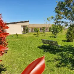 Negocio Rincón Del Alma