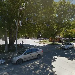 Negocio Rosas Blancas