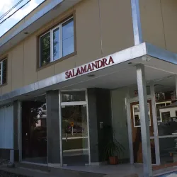 Negocio Salamandra Apart