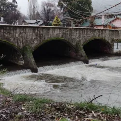 Negocio San Martin De Los Andes Departamento