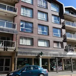 Negocio San Martín Design