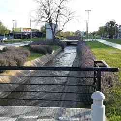 Negocio San Rafael Cabañas