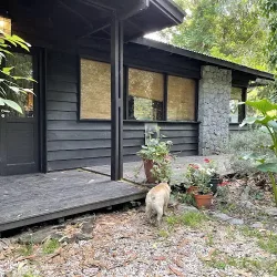 Negocio Shangri-La Cabaña En El Bosque