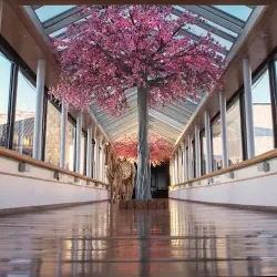 Negocio Sheraton Bariloche Hotel