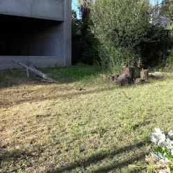 Negocio Sol De Chacras