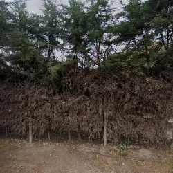 Negocio Solares De Chacras