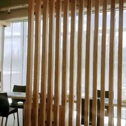 Negocio Spa Termal Neuquén