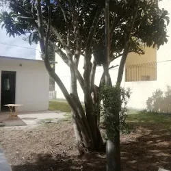 Negocio Summer Hotel