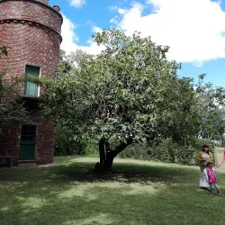 Negocio Tanguero Hotel Boutique
