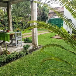 Negocio The Palm House Hotel