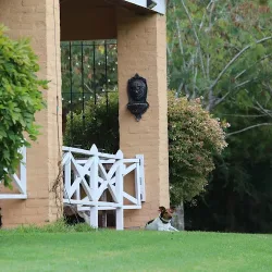 Negocio The Polo House