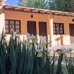 Negocio Tiempo De Bienestar