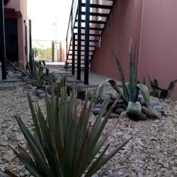 Negocio Tierra De Olivos