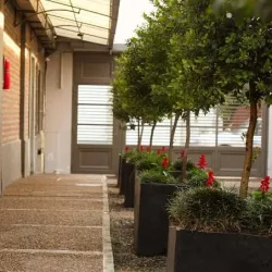 Negocio Tp Apart Hotel