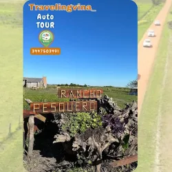 Negocio Travelingvina_